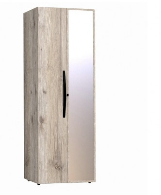 Шкаф для одежды с фасадами Стандарт+Зеркало Nature 54 гаскон