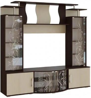 Виста Стенка, венге / дуб беленый (Венге / дуб беленый)