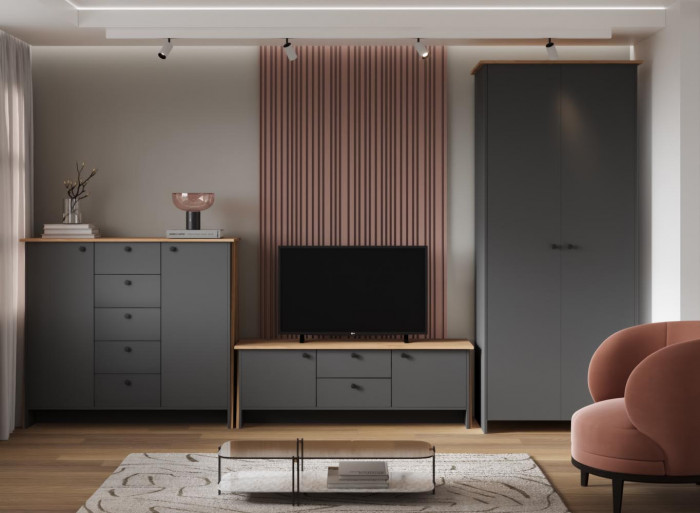 Шкаф двухстворчатый Теодора, Графит