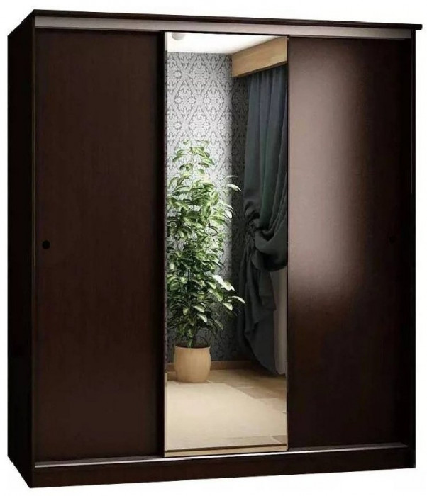 Шкаф-купе Альянс 2000 (Дуб крафт/ Графит)