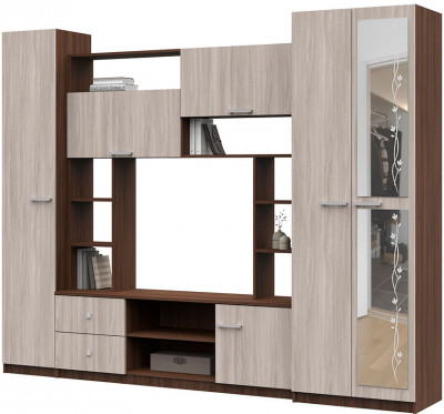 Гостиная Марта-М (Андрей 1)  ЛДСП шимо темный/шимо светлый